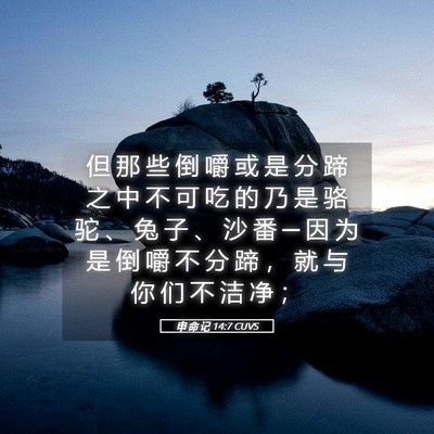 Picture 05 - 申 命 记 14:7 CUVS - 但 那 些 倒 嚼 或 是 分 蹄 之 中 不 - Bible Verse Picture
