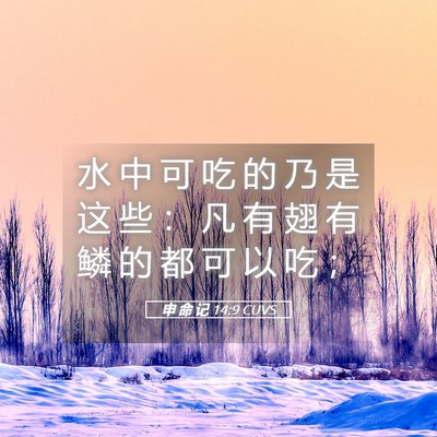 Picture 05 - 申 命 记 14:9 CUVS - 水 中 可 吃 的 乃 是 这 些 ： 凡 有 - Bible Verse Picture