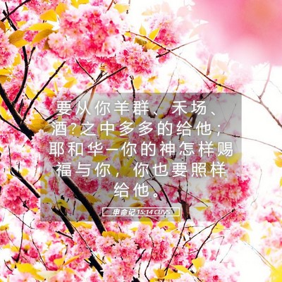 Picture 05 - 申 命 记 15:14 CUVS - 要 从 你 羊 群 、 禾 场 、 酒 ? 之 中 - Bible Verse Picture