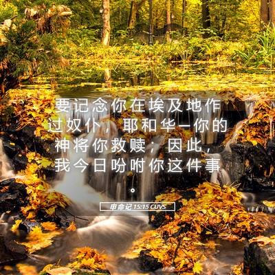 Picture 05 - 申 命 记 15:15 CUVS - 要 记 念 你 在 埃 及 地 作 过 奴 仆 - Bible Verse Picture