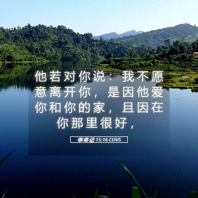 Picture 05 - 申 命 记 15:16 CUVS - 他 若 对 你 说 ： 我 不 愿 意 离 开 - Bible Verse Picture