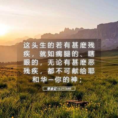 Picture 05 - 申 命 记 15:21 CUVS - 这 头 生 的 若 有 甚 麽 残 疾 ， 就 - Bible Verse Picture