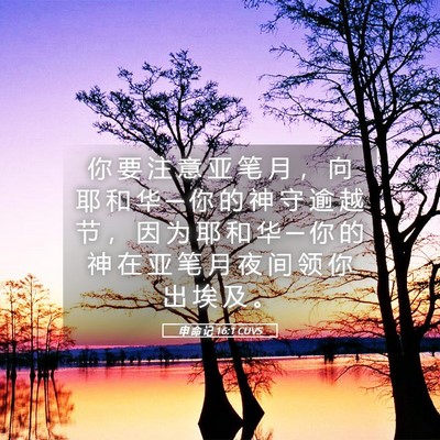 Picture 05 - 申 命 记 16:1 CUVS - 你 要 注 意 亚 笔 月 ， 向 耶 和 华 - Bible Verse Picture