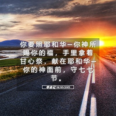 Picture 05 - 申 命 记 16:10 CUVS - 你 要 照 耶 和 华 ─ 你 神 所 赐 你 - Bible Verse Picture