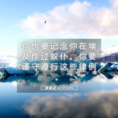Picture 05 - 申 命 记 16:12 CUVS - 你 也 要 记 念 你 在 埃 及 作 过 奴 - Bible Verse Picture