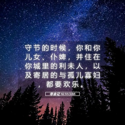 Picture 05 - 申 命 记 16:14 CUVS - 守 节 的 时 候 ， 你 和 你 儿 女 、 - Bible Verse Picture