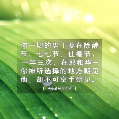 Picture 05 - 申 命 记 16:16 CUVS - 你 一 切 的 男 丁 要 在 除 酵 节 、 - Bible Verse Picture