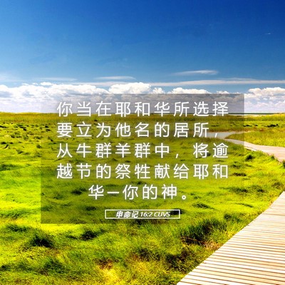 Picture 05 - 申 命 记 16:2 CUVS - 你 当 在 耶 和 华 所 选 择 要 立 为 - Bible Verse Picture