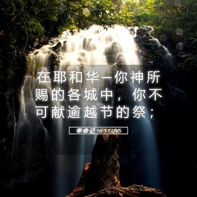 Picture 05 - 申 命 记 16:5 CUVS - 在 耶 和 华 ─ 你 神 所 赐 的 各 城 - Bible Verse Picture