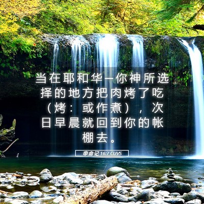 Picture 05 - 申 命 记 16:7 CUVS - 当 在 耶 和 华 ─ 你 神 所 选 择 的 - Bible Verse Picture