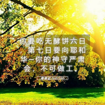 Picture 05 - 申 命 记 16:8 CUVS - 你 要 吃 无 酵 饼 六 日 ， 第 七 日 - Bible Verse Picture