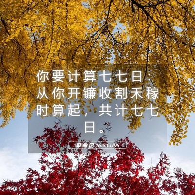 Picture 05 - 申 命 记 16:9 CUVS - 你 要 计 算 七 七 日 ： 从 你 开 镰 - Bible Verse Picture