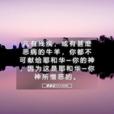 Picture 05 - 申 命 记 17:1 CUVS - 凡 有 残 疾 ， 或 有 甚 麽 恶 病 的 - Bible Verse Picture