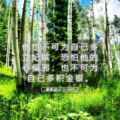 Picture 05 - 申 命 记 17:17 CUVS - 他 也 不 可 为 自 己 多 立 妃 嫔 ， - Bible Verse Picture
