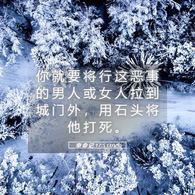 Picture 05 - 申 命 记 17:5 CUVS - 你 就 要 将 行 这 恶 事 的 男 人 或 - Bible Verse Picture