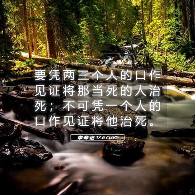 Picture 05 - 申 命 记 17:6 CUVS - 要 凭 两 三 个 人 的 口 作 见 证 将 - Bible Verse Picture