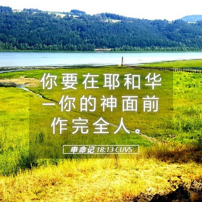 Picture 05 - 申 命 记 18:13 CUVS - 你 要 在 耶 和 华 ─ 你 的 神 面 前 - Bible Verse Picture