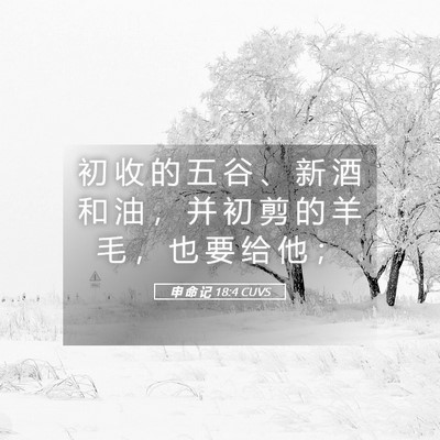 Picture 05 - 申 命 记 18:4 CUVS - 初 收 的 五 谷 、 新 酒 和 油 ， 并 - Bible Verse Picture