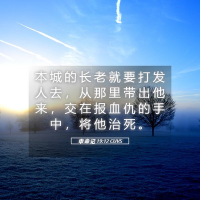 Picture 05 - 申 命 记 19:12 CUVS - 本 城 的 长 老 就 要 打 发 人 去 ， - Bible Verse Picture