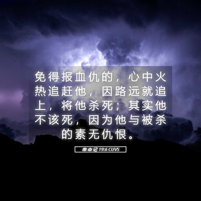 Picture 05 - 申 命 记 19:6 CUVS - 免 得 报 血 仇 的 ， 心 中 火 热 追 - Bible Verse Picture