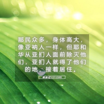 Picture 05 - 申 命 记 2:21 CUVS - 那 民 众 多 ， 身 体 高 大 ， 像 亚 - Bible Verse Picture