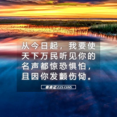 Picture 05 - 申 命 记 2:25 CUVS - 从 今 日 起 ， 我 要 使 天 下 万 民 - Bible Verse Picture