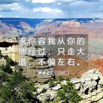 Picture 05 - 申 命 记 2:27 CUVS - 求 你 容 我 从 你 的 地 经 过 ， 只 - Bible Verse Picture
