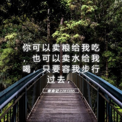 Picture 05 - 申 命 记 2:28 CUVS - 你 可 以 卖 粮 给 我 吃 ， 也 可 以 - Bible Verse Picture