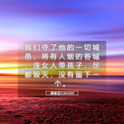 Picture 05 - 申 命 记 2:34 CUVS - 我 们 夺 了 他 的 一 切 城 邑 ， 将 - Bible Verse Picture