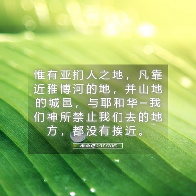 Picture 05 - 申 命 记 2:37 CUVS - 惟 有 亚 扪 人 之 地 ， 凡 靠 近 雅 - Bible Verse Picture