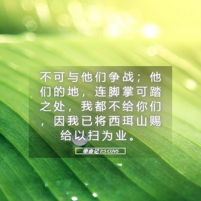 Picture 05 - 申 命 记 2:5 CUVS - 不 可 与 他 们 争 战 ； 他 们 的 地 - Bible Verse Picture