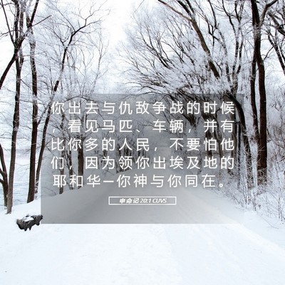 Picture 05 - 申 命 记 20:1 CUVS - 你 出 去 与 仇 敌 争 战 的 时 候 ， - Bible Verse Picture