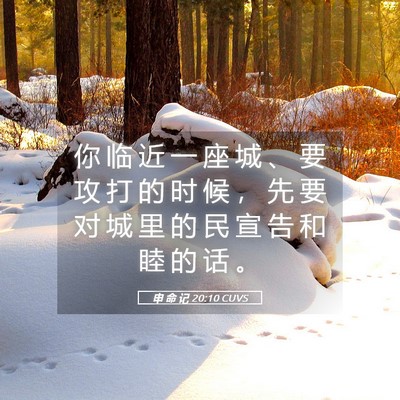 Picture 05 - 申 命 记 20:10 CUVS - 你 临 近 一 座 城 、 要 攻 打 的 时 - Bible Verse Picture