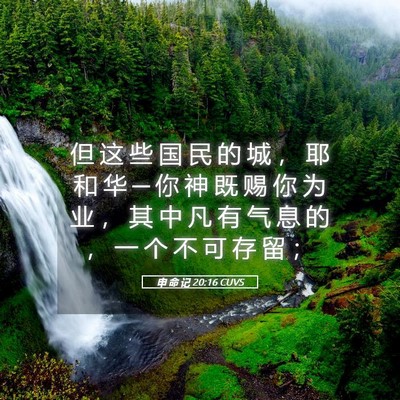 Picture 05 - 申 命 记 20:16 CUVS - 但 这 些 国 民 的 城 ， 耶 和 华 ─ - Bible Verse Picture