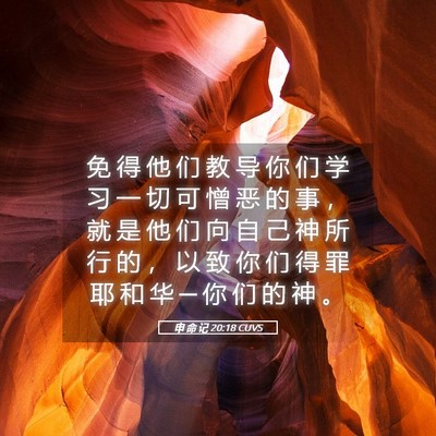 Picture 05 - 申 命 记 20:18 CUVS - 免 得 他 们 教 导 你 们 学 习 一 切 - Bible Verse Picture