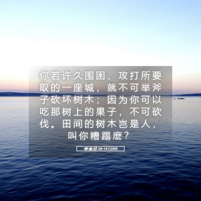 Picture 05 - 申 命 记 20:19 CUVS - 你 若 许 久 围 困 、 攻 打 所 要 取 - Bible Verse Picture