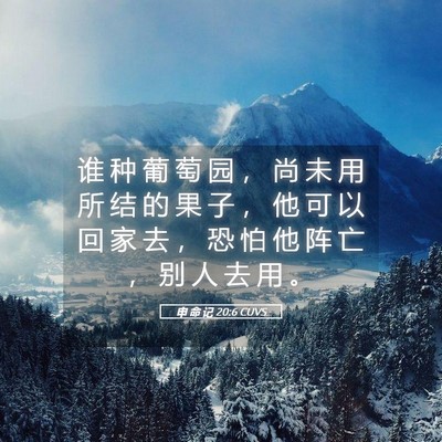 Picture 05 - 申 命 记 20:6 CUVS - 谁 种 葡 萄 园 ， 尚 未 用 所 结 的 - Bible Verse Picture
