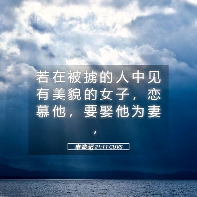 Picture 05 - 申 命 记 21:11 CUVS - 若 在 被 掳 的 人 中 见 有 美 貌 的 - Bible Verse Picture