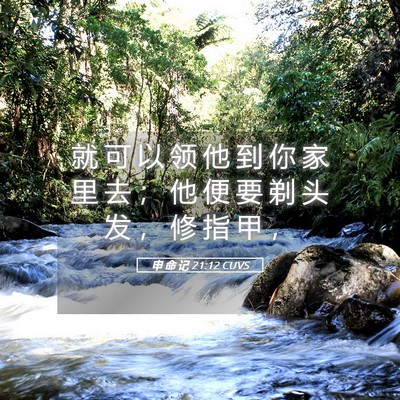 Picture 05 - 申 命 记 21:12 CUVS - 就 可 以 领 他 到 你 家 里 去 ； 他 - Bible Verse Picture