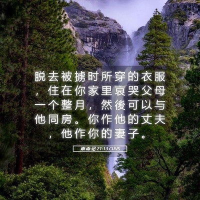 Picture 05 - 申 命 记 21:13 CUVS - 脱 去 被 掳 时 所 穿 的 衣 服 ， 住 - Bible Verse Picture