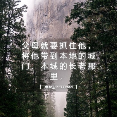 Picture 05 - 申 命 记 21:19 CUVS - 父 母 就 要 抓 住 他 ， 将 他 带 到 - Bible Verse Picture