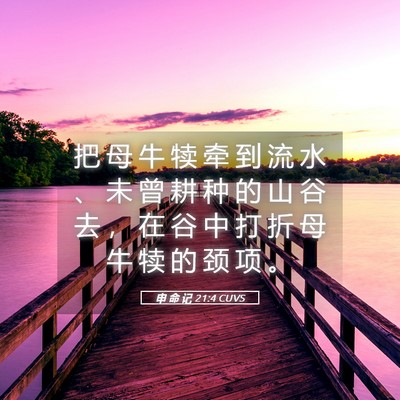 Picture 05 - 申 命 记 21:4 CUVS - 把 母 牛 犊 牵 到 流 水 、 未 曾 耕 - Bible Verse Picture