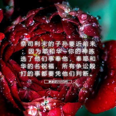 Picture 05 - 申 命 记 21:5 CUVS - 祭 司 利 未 的 子 孙 要 近 前 来 ； - Bible Verse Picture