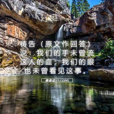 Picture 05 - 申 命 记 21:7 CUVS - 祷 告 （ 原 文 作 回 答 ） 说 ： 我 - Bible Verse Picture