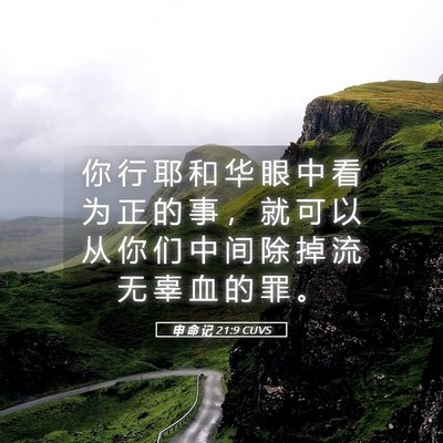 Picture 05 - 申 命 记 21:9 CUVS - 你 行 耶 和 华 眼 中 看 为 正 的 事 - Bible Verse Picture
