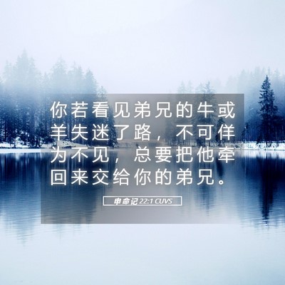 Picture 05 - 申 命 记 22:1 CUVS - 你 若 看 见 弟 兄 的 牛 或 羊 失 迷 - Bible Verse Picture