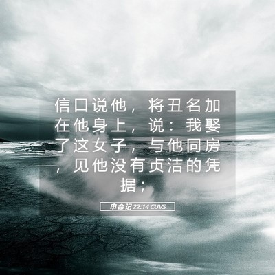 Picture 05 - 申 命 记 22:14 CUVS - 信 口 说 他 ， 将 丑 名 加 在 他 身 - Bible Verse Picture