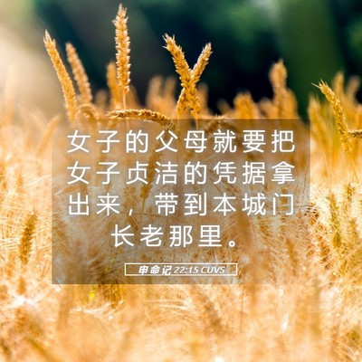 Picture 05 - 申 命 记 22:15 CUVS - 女 子 的 父 母 就 要 把 女 子 贞 洁 - Bible Verse Picture