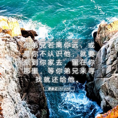 Picture 05 - 申 命 记 22:2 CUVS - 你 弟 兄 若 离 你 远 ， 或 是 你 不 - Bible Verse Picture