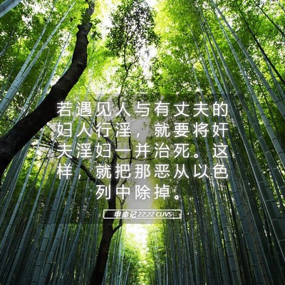 Picture 05 - 申 命 记 22:22 CUVS - 若 遇 见 人 与 有 丈 夫 的 妇 人 行 - Bible Verse Picture